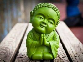 Kẻ ngu lấy khổ đau của người khác để làm hạnh phúc chính mình