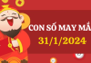 Con số may mắn hôm nay 31/1/2024 theo năm sinh: Số may đón LỘC trời ban