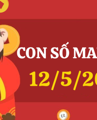 Con số may mắn hôm nay 12/5/2024 theo tuổi của bạn: Tìm số CÁT giúp bạn ĐỔI ĐỜI