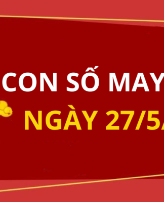 Con số may mắn hôm nay 27/5/2024 theo 12 con giáp: Chọn số PHÁT LỘC cho bạn