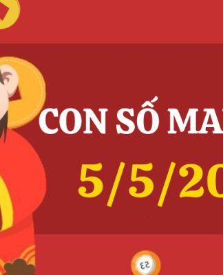 Con số may mắn hôm nay 5/5/2024 theo tuổi của bạn: Số mang TIỀN LỘC về cho bạn