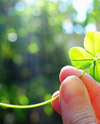 Người có 4 đặc điểm này thường gặp vận may, suôn sẻ trong cuộc sống