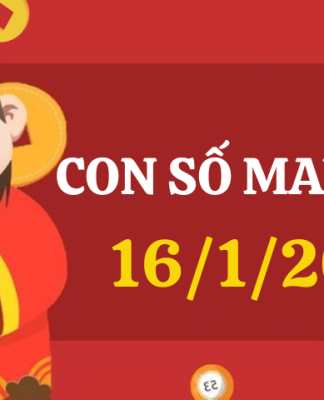 Con số may mắn hôm nay 16/1/2025 theo tuổi: Xem số vàng hợp tuổi bạn