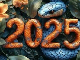 Tử vi 12 con giáp năm 2025: Ngọ, Mùi tỏa sáng, tuổi nào bứt phá tài lộc?