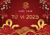 Tử vi tuổi Thìn năm 2025 chi tiết từng năm sinh