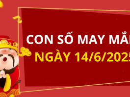 Con số may mắn hôm nay 14/6/2025 theo tuổi: Xem số tốt giúp bạn dễ đón lộc