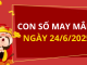 Con số may mắn hôm nay 24/6/2025 theo tuổi: Số may đón lộc