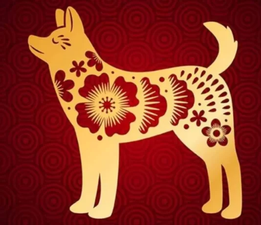 14 ngày cuối tháng 6: 3 con giáp bốc đúng lá thăm may mắn, làm giàu nhẹ tênh, bội thực trong tiền