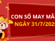 Con số may mắn hôm nay 31/7/2025 theo tuổi: Xem số phát lộc