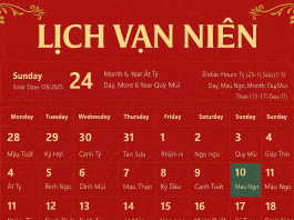 Lịch Vạn Niên – Tra Cứu Lịch Âm Chính Xác Nhất Lịch Vạn Niên 2025 - Tra Cứu Lịch Âm Chính Xác Nhất