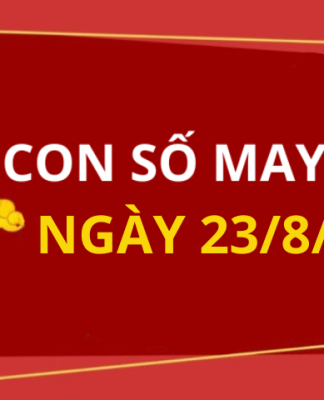 Con số may mắn hôm nay 23/8/2025 theo tuổi: Số may mắn giúp bạn phát tài
