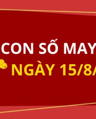 Con số may mắn hôm nay 15/8/2025 theo tuổi: Số thu hút tài lộc