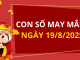 Con số may mắn hôm nay 19/8/2025 theo tuổi: Số thu hút tài lộc
