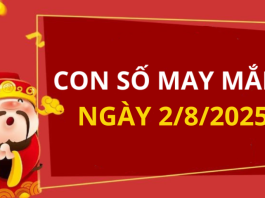 Con số may mắn hôm nay 2/8/2025 theo tuổi: Số vàng hợp tuổi bạn