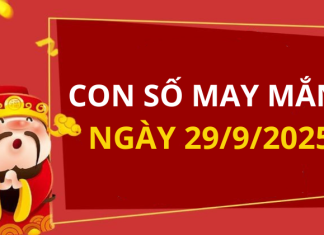 Con số may mắn hôm nay 29/9/2025 theo tuổi: Số mang tiền lộc về cho bạn