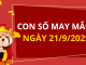 Con số may mắn hôm nay 21/9/2025 theo tuổi: Số đắc lộc cho tuổi của bạn