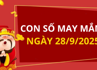 Con số may mắn hôm nay 28/9/2025 theo tuổi: Số giúp bạn đón lộc lớn