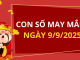 Con số may mắn hôm nay 9/9/2025 theo tuổi: Số cát giúp bạn phát tài nhanh