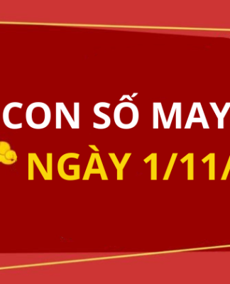 Con số may mắn hôm nay 1/11/2025 theo tuổi: Xem số vàng hợp tuổi bạn