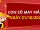 Con số may mắn hôm nay 21/10/2025: Xem số vàng hợp tuổi bạn