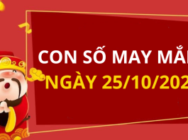 Con số may mắn hôm nay 25/10/2025 theo tuổi: Chọn số cát đổi vận tức thì