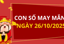 Con số may mắn hôm nay 26/10/2025 theo tuổi: Xem số phát lộc