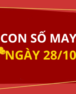 Con số may mắn hôm nay 28/10/2025 theo tuổi: Chọn số đón lộc