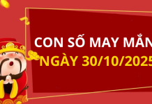 Con số may mắn hôm nay 30/10/2025 theo tuổi: Chọn số cát đổi vận tức thì