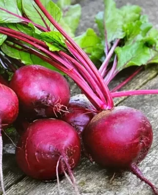 6 loại thực phẩm giúp tăng cường sức khỏe phổi