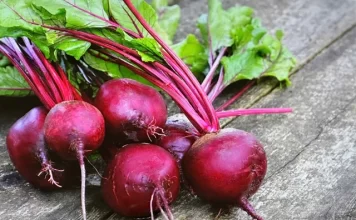 6 loại thực phẩm giúp tăng cường sức khỏe phổi