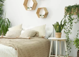 7 loại cây trồng trong phòng ngủ giúp ngủ ngon, lọc khí