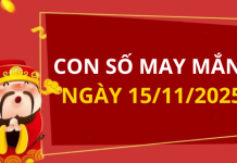 Con số may mắn hôm nay 15/11/2025 theo tuổi: Xem số hay có lộc ngay
