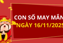 Con số may mắn hôm nay 16/11/2025 theo tuổi: Số may đón lộc vào nhà