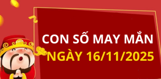 Con số may mắn hôm nay 16/11/2025 theo tuổi: Số may đón lộc vào nhà