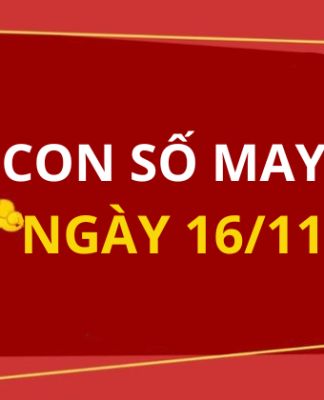 Con số may mắn hôm nay 16/11/2025 theo tuổi: Số may đón lộc vào nhà
