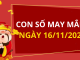 Con số may mắn hôm nay 16/11/2025 theo tuổi: Số may đón lộc vào nhà