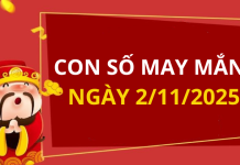 Con số may mắn hôm nay 2/11/2025 theo tuổi: Chọn số đón lộc