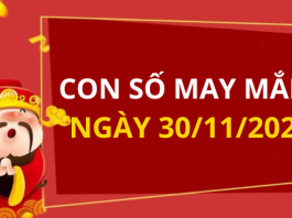 Con số may mắn hôm nay 30/11/2025 theo tuổi: Chọn số đón lộc