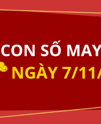 Con số may mắn hôm nay 7/11/2025 theo 12 con giáp: Số may đón lộc