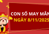 Con số may mắn hôm nay 8/11/2025 theo tuổi: Xem số phát lộc