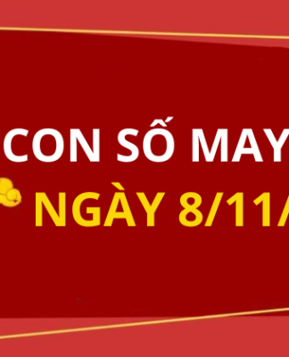 Con số may mắn hôm nay 8/11/2025 theo tuổi: Xem số phát lộc