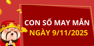Con số may mắn hôm nay 9/11/2025 theo tuổi: Chọn số giúp bạn đổi vận