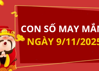 Con số may mắn hôm nay 9/11/2025 theo tuổi: Chọn số giúp bạn đổi vận