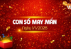 Con số may mắn hôm nay 1/1/2026 theo tuổi: Xem số may mắn giúp bạn đón lộc