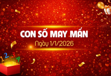 Con số may mắn hôm nay 1/1/2026 theo tuổi: Xem số may mắn giúp bạn đón lộc