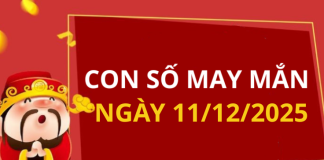 Con số may mắn hôm nay 11/12/2025 theo tuổi: Xem số vàng hợp tuổi bạn