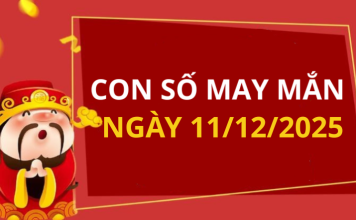 Con số may mắn hôm nay 11/12/2025 theo tuổi: Xem số vàng hợp tuổi bạn