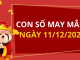Con số may mắn hôm nay 11/12/2025 theo tuổi: Xem số vàng hợp tuổi bạn