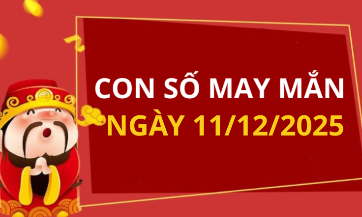 Con số may mắn hôm nay 11/12/2025 theo tuổi: Xem số vàng hợp tuổi bạn