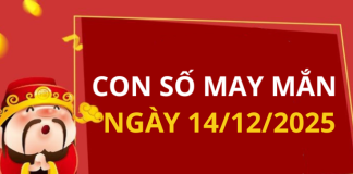 Con số may mắn hôm nay 14/12/2025 theo tuổi: Xem số cát giúp bạn đổi vận